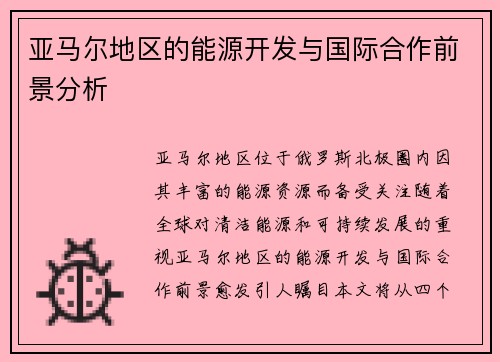 亚马尔地区的能源开发与国际合作前景分析