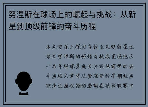 努涅斯在球场上的崛起与挑战：从新星到顶级前锋的奋斗历程
